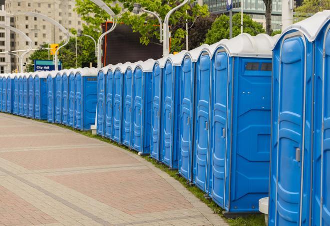 Seasonal porta potty units set up at a Saginaw, Michigan venue